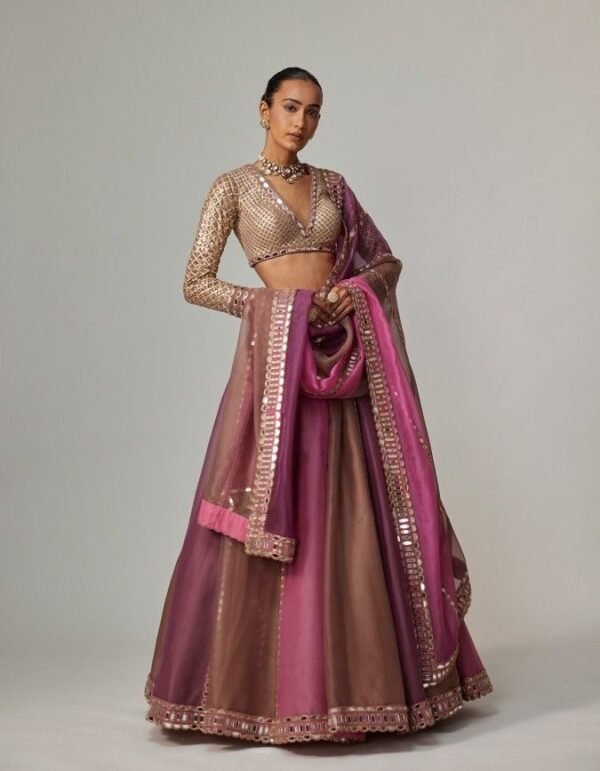 Organza Lehenga Set
